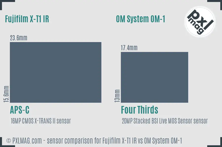 Fujifilm X-T1 IR vs OM System OM-1 sensor size comparison
