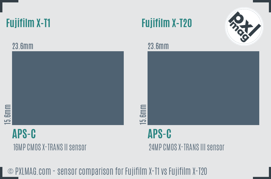 Fujifilm X-T1 vs Fujifilm X-T20 sensor size comparison