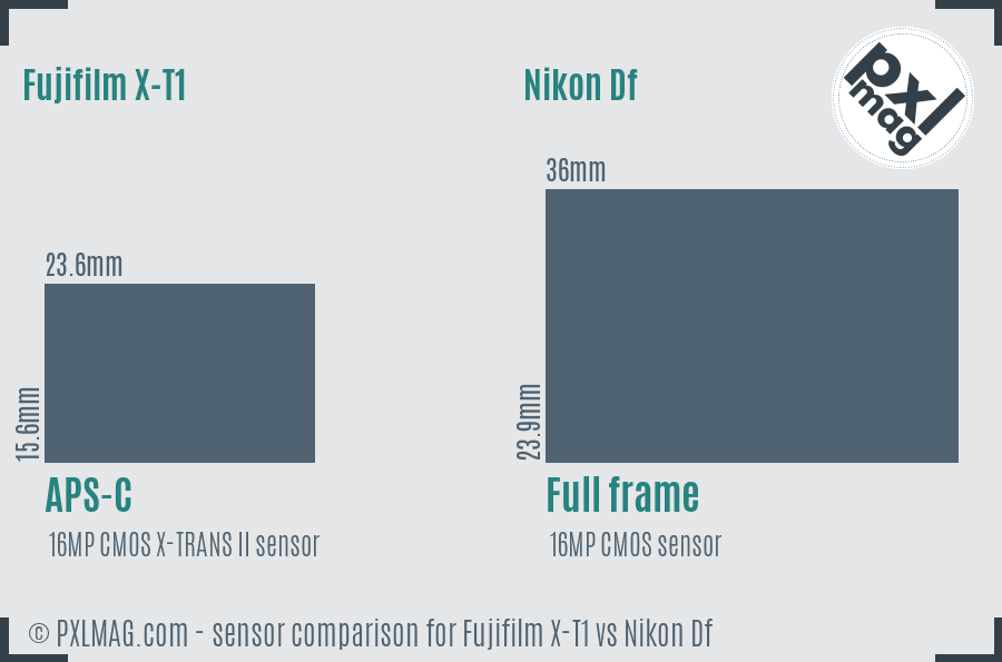 Fujifilm X-T1 vs Nikon Df sensor size comparison