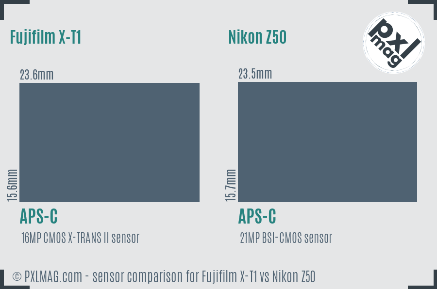 Fujifilm X-T1 vs Nikon Z50 sensor size comparison