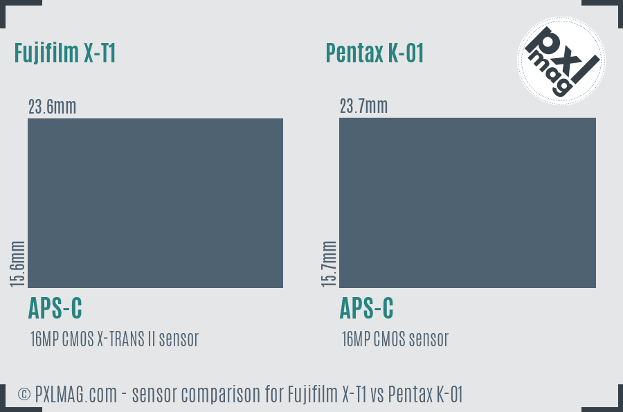 Fujifilm X-T1 vs Pentax K-01 sensor size comparison