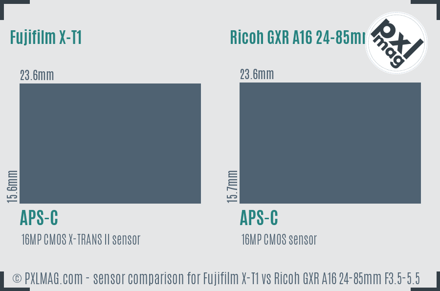 Fujifilm X-T1 vs Ricoh GXR A16 24-85mm F3.5-5.5 sensor size comparison