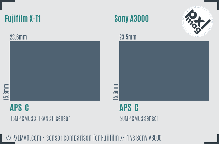 Fujifilm X-T1 vs Sony A3000 sensor size comparison