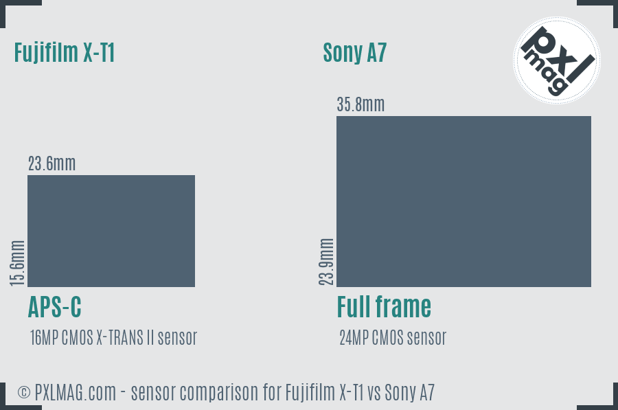 Fujifilm X-T1 vs Sony A7 sensor size comparison