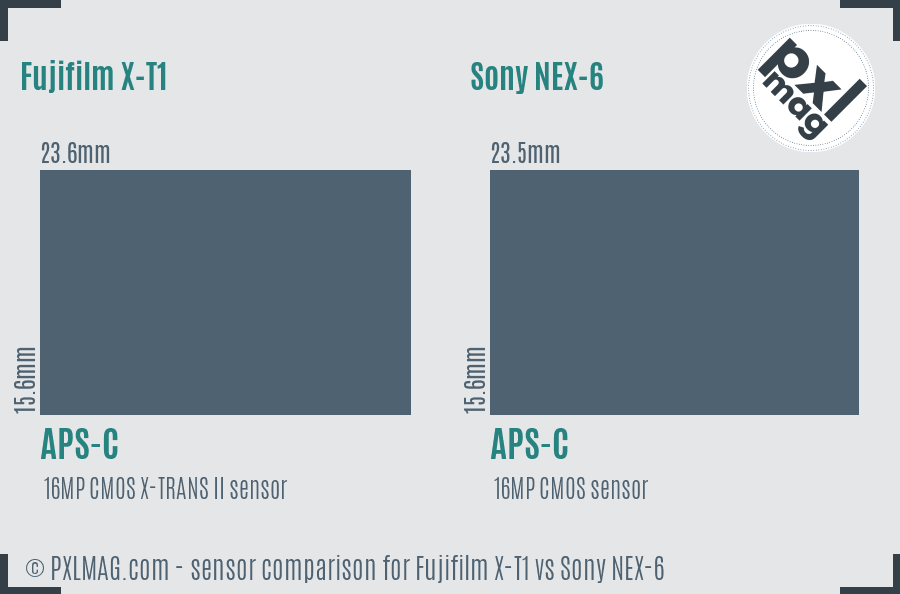 Fujifilm X-T1 vs Sony NEX-6 sensor size comparison