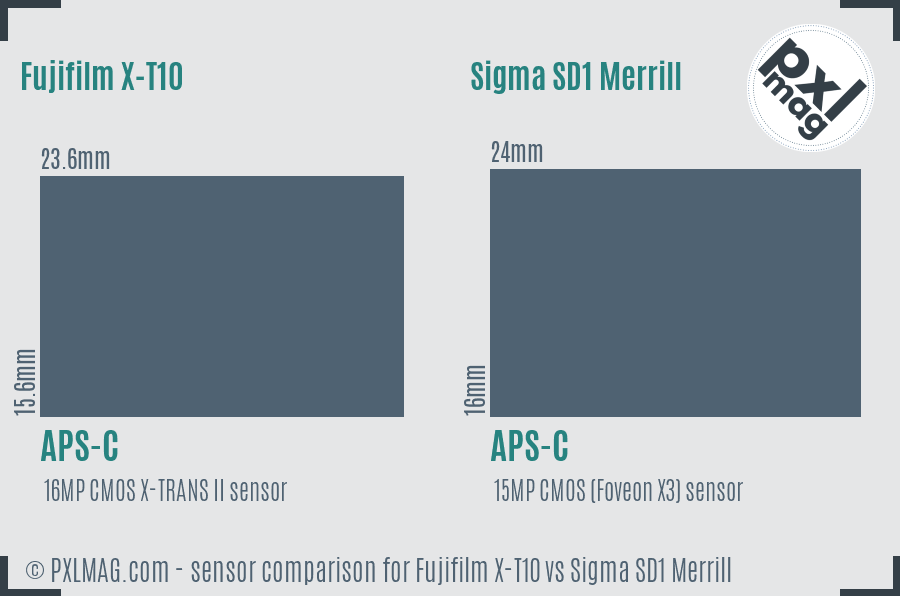 Fujifilm X-T10 vs Sigma SD1 Merrill sensor size comparison