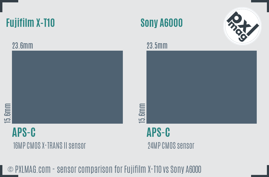 Fujifilm X-T10 vs Sony A6000 sensor size comparison