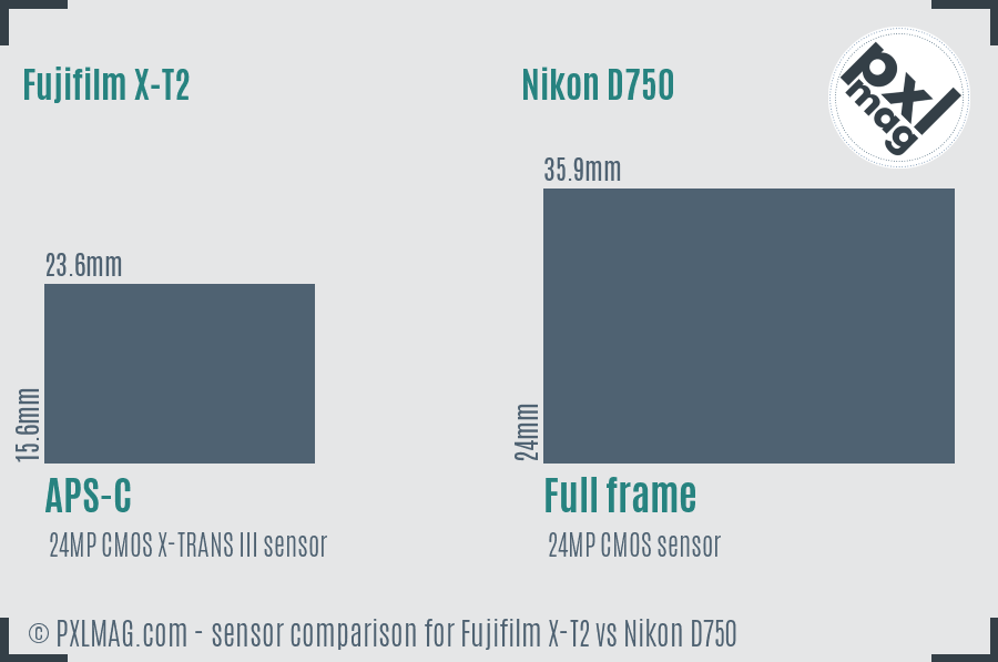 Fujifilm X-T2 vs Nikon D750 sensor size comparison Fujifilm X-T2 vs Nikon D750 sensor size comparison