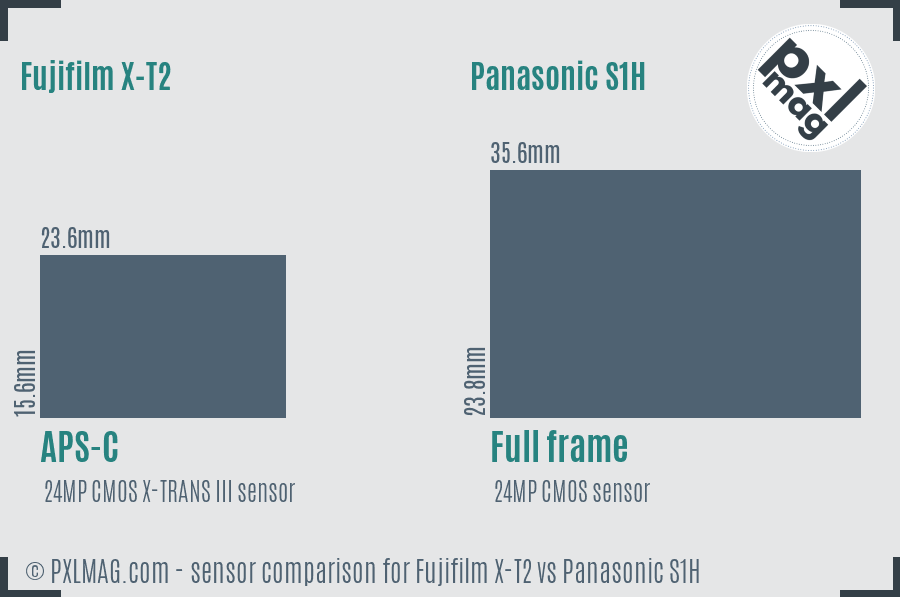 Fujifilm X-T2 vs Panasonic S1H sensor size comparison