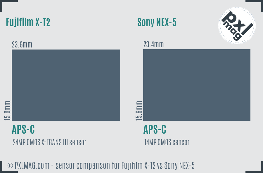 Fujifilm X-T2 vs Sony NEX-5 sensor size comparison Fujifilm X-T2 vs Sony NEX-5 sensor size comparison