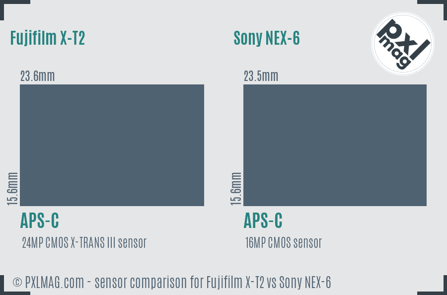 Fujifilm X-T2 vs Sony NEX-6 sensor size comparison