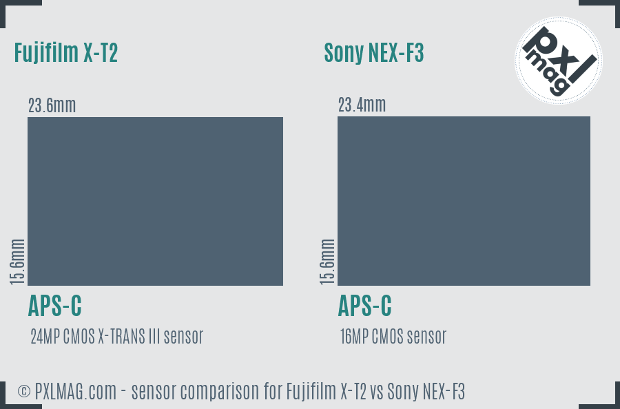 Fujifilm X-T2 vs Sony NEX-F3 sensor size comparison Fujifilm X-T2 vs Sony NEX-F3 sensor size comparison