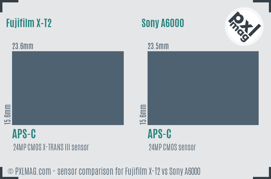 Fujifilm X-T2 vs Sony A6000 sensor size comparison Fujifilm X-T2 vs Sony A6000 sensor size comparison