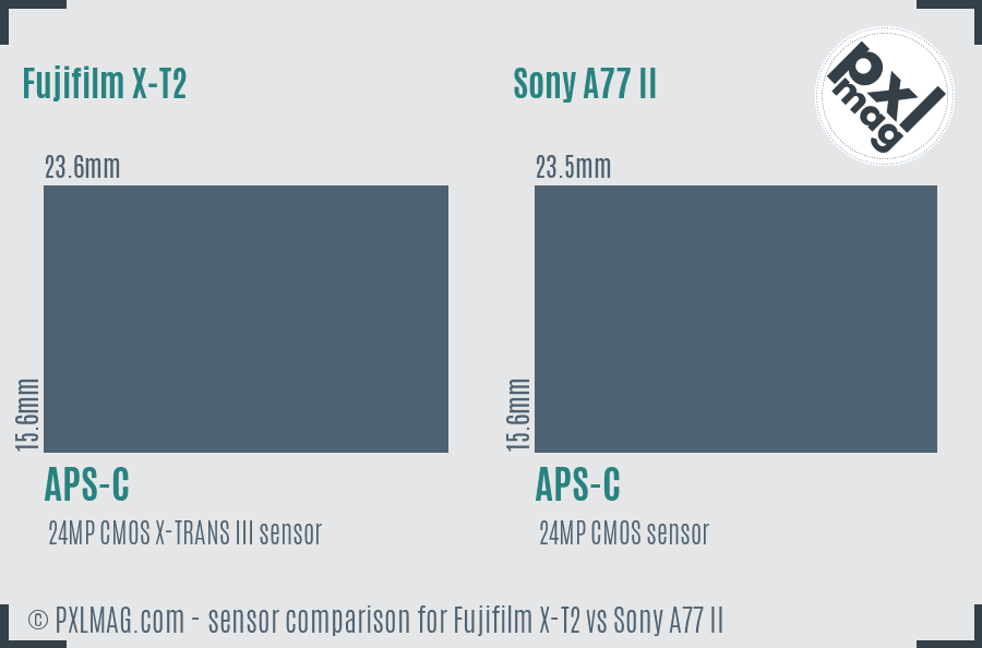 Fujifilm X-T2 vs Sony A77 II sensor size comparison