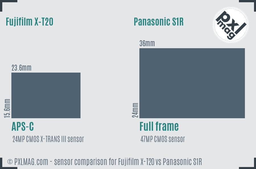 Fujifilm X-T20 vs Panasonic S1R sensor size comparison Fujifilm X-T20 vs Panasonic S1R sensor size comparison
