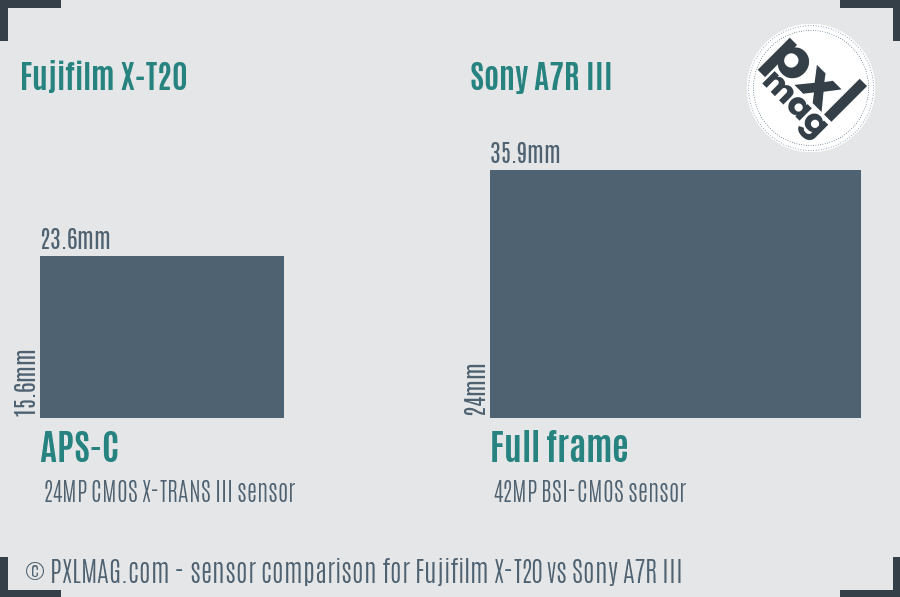 Fujifilm X-T20 vs Sony A7R III sensor size comparison