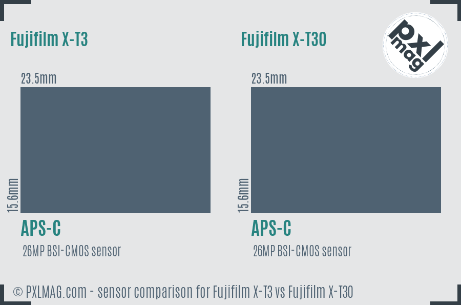 Fujifilm X-T3 vs Fujifilm X-T30 sensor size comparison