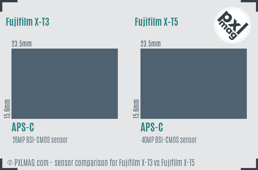 Fujifilm X-T3 vs Fujifilm X-T5 sensor size comparison