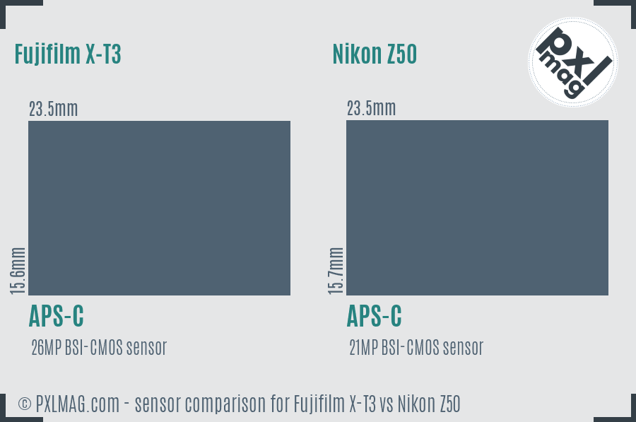 Fujifilm X-T3 vs Nikon Z50 sensor size comparison Fujifilm X-T3 vs Nikon Z50 sensor size comparison