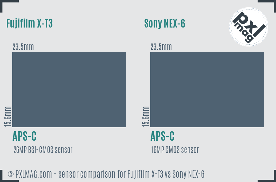 Fujifilm X-T3 vs Sony NEX-6 sensor size comparison