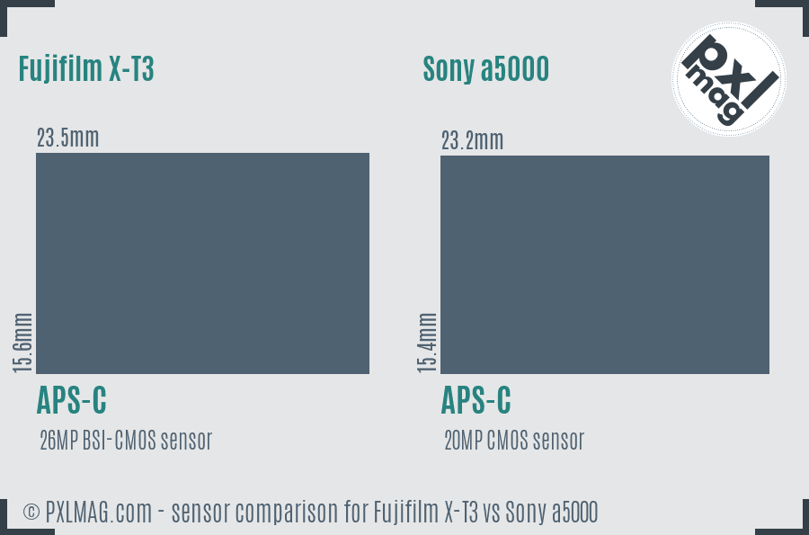 Fujifilm X-T3 vs Sony a5000 sensor size comparison