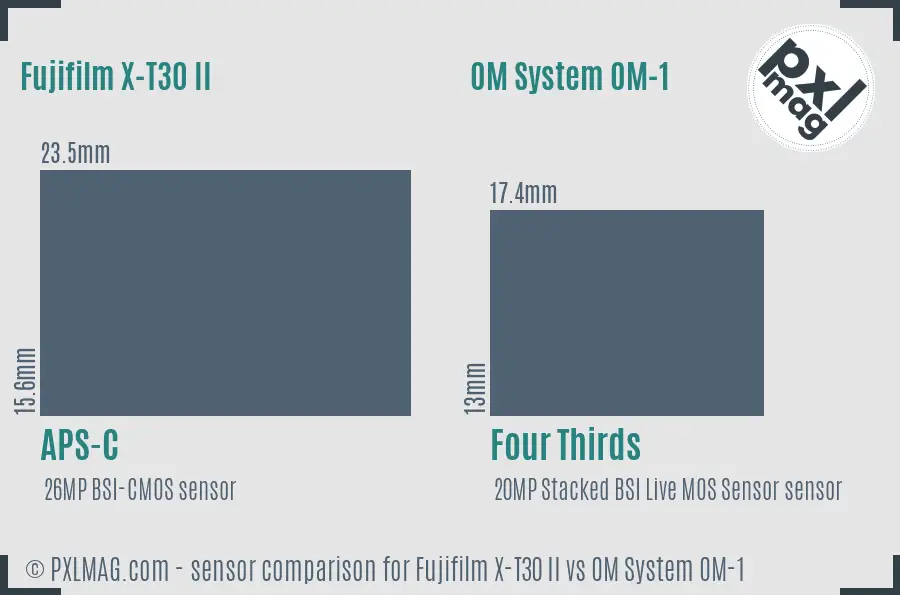 Fujifilm X-T30 II vs OM System OM-1 sensor size comparison Fujifilm X-T30 II vs OM System OM-1 sensor size comparison