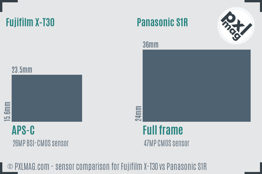 Fujifilm X-T30 vs Panasonic S1R sensor size comparison
