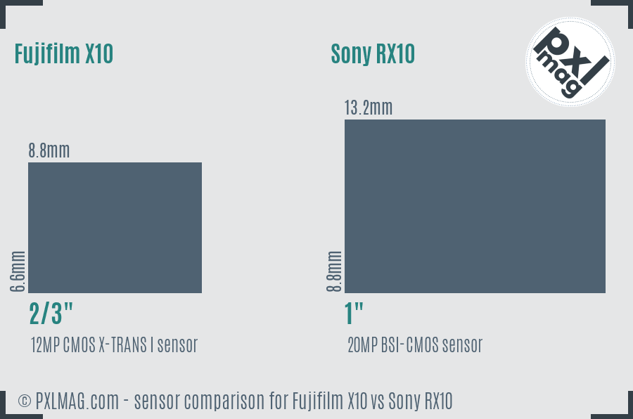 Fujifilm X10 vs Sony RX10 sensor size comparison Fujifilm X10 vs Sony RX10 sensor size comparison