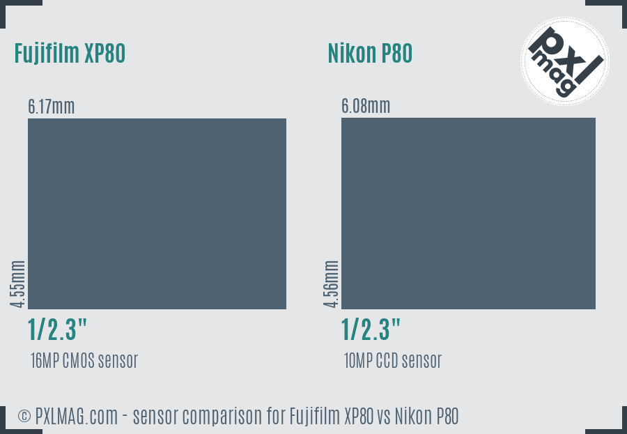 Fujifilm XP80 vs Nikon P80 sensor size comparison