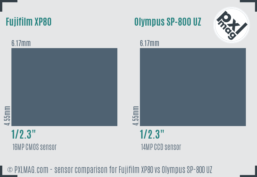 Fujifilm XP80 vs Olympus SP-800 UZ sensor size comparison