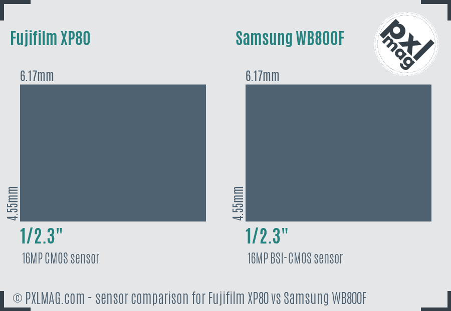 Fujifilm XP80 vs Samsung WB800F sensor size comparison
