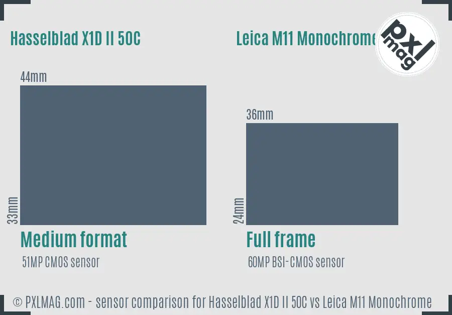 Hasselblad X1D II 50C vs Leica M11 Monochrome sensor size comparison