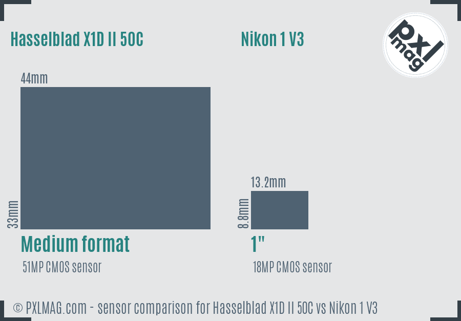Hasselblad X1D II 50C vs Nikon 1 V3 sensor size comparison Hasselblad X1D II 50C vs Nikon 1 V3 sensor size comparison