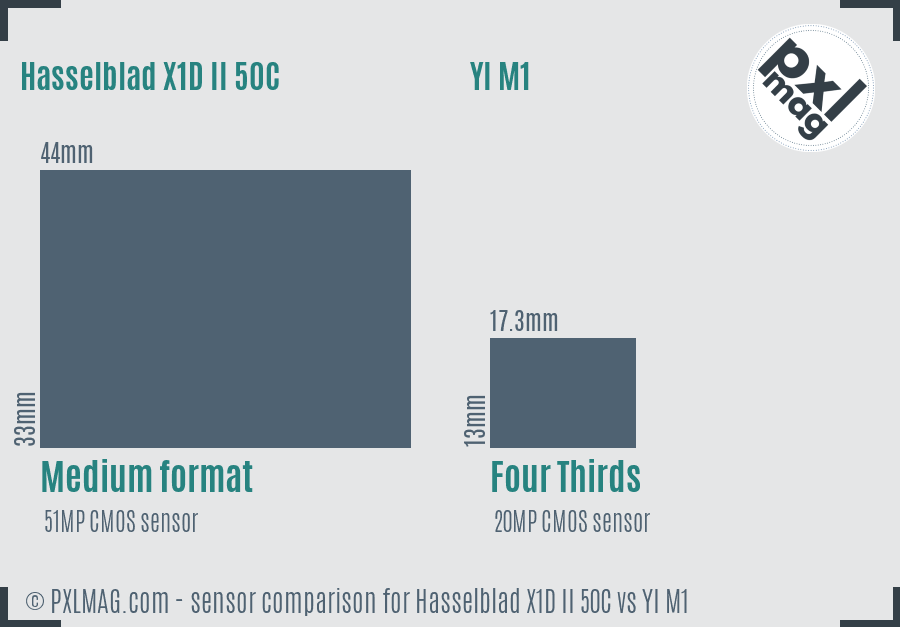 Hasselblad X1D II 50C vs YI M1 sensor size comparison