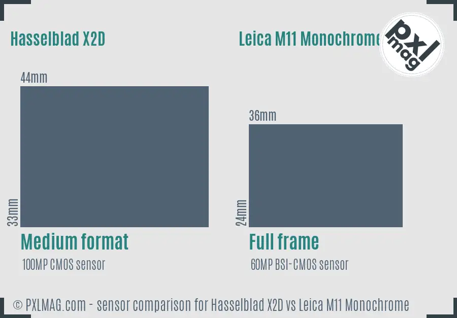 Hasselblad X2D vs Leica M11 Monochrome sensor size comparison