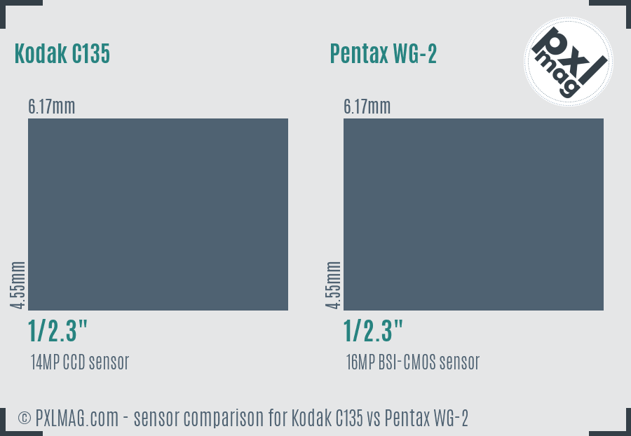 Kodak C135 vs Pentax WG-2 sensor size comparison