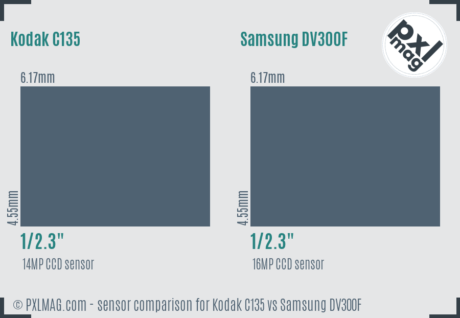 Kodak C135 vs Samsung DV300F sensor size comparison