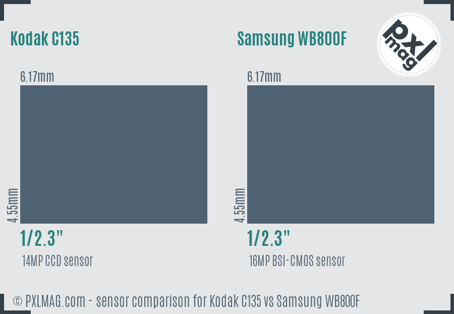 Kodak C135 vs Samsung WB800F sensor size comparison