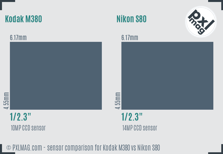 Kodak M380 vs Nikon S80 sensor size comparison