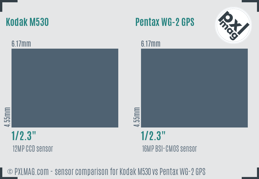 Kodak M530 vs Pentax WG-2 GPS sensor size comparison
