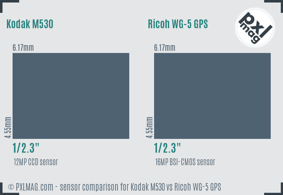 Kodak M530 vs Ricoh WG-5 GPS sensor size comparison