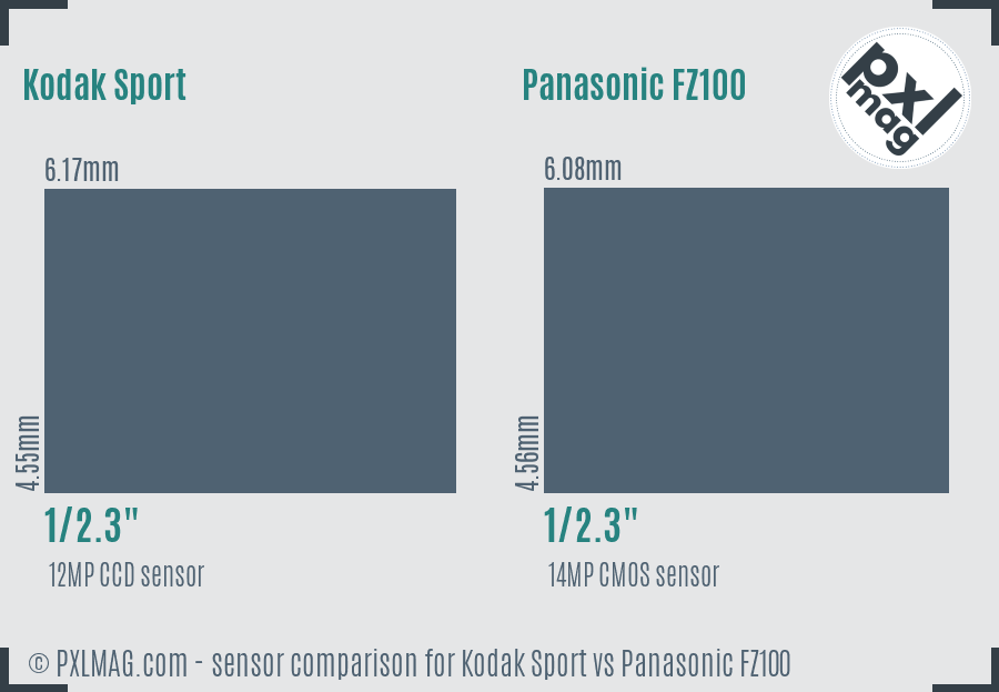 Kodak Sport vs Panasonic FZ100 sensor size comparison