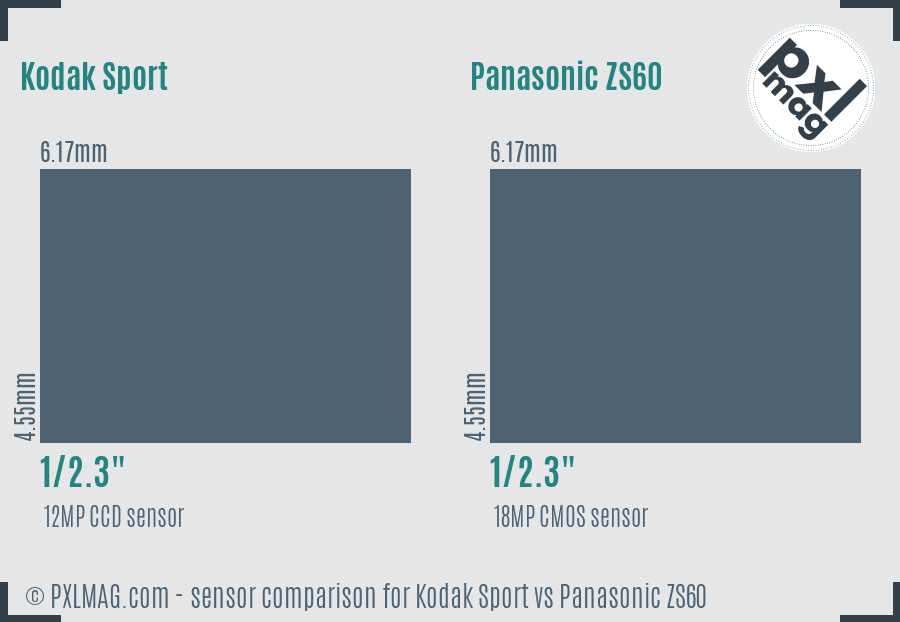 Kodak Sport vs Panasonic ZS60 sensor size comparison