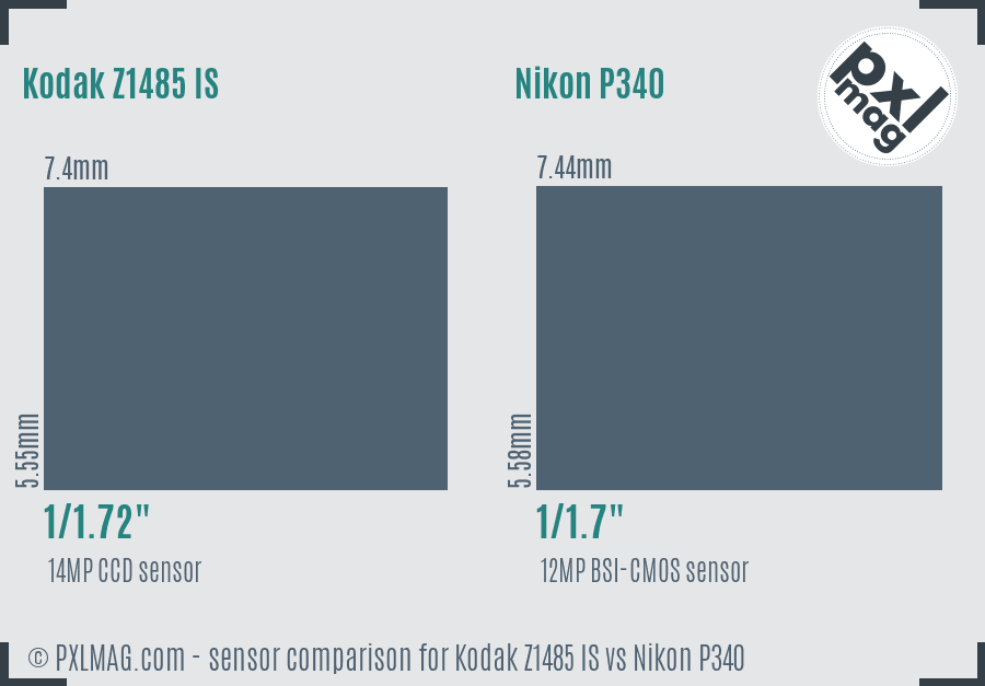 Kodak Z1485 IS vs Nikon P340 sensor size comparison Kodak Z1485 IS vs Nikon P340 sensor size comparison