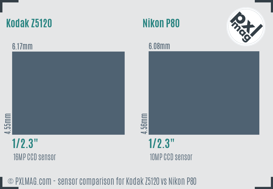 Kodak Z5120 vs Nikon P80 sensor size comparison