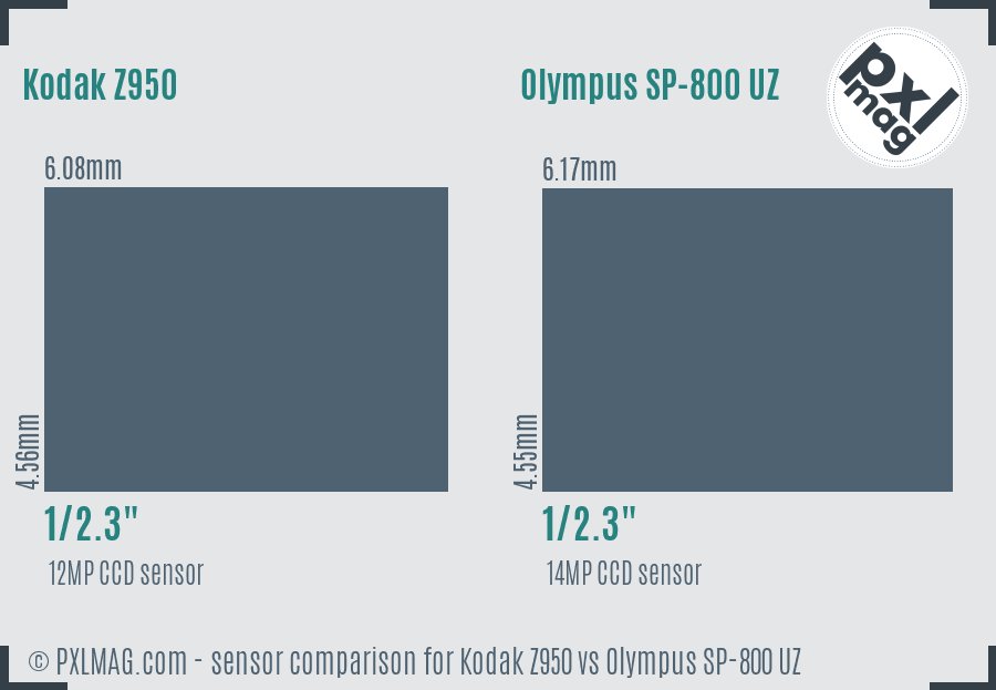 Kodak Z950 vs Olympus SP-800 UZ sensor size comparison