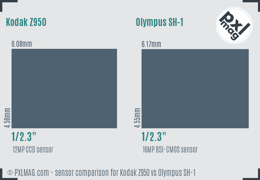 Kodak Z950 vs Olympus SH-1 sensor size comparison