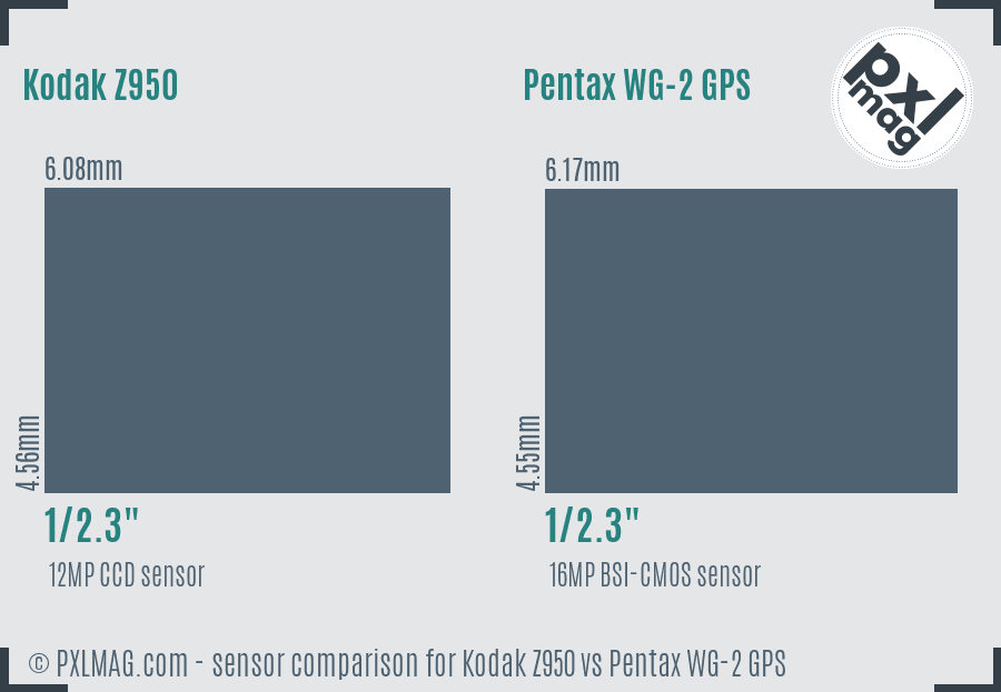 Kodak Z950 vs Pentax WG-2 GPS sensor size comparison