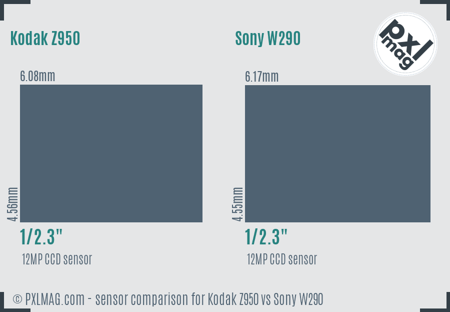 Kodak Z950 vs Sony W290 sensor size comparison