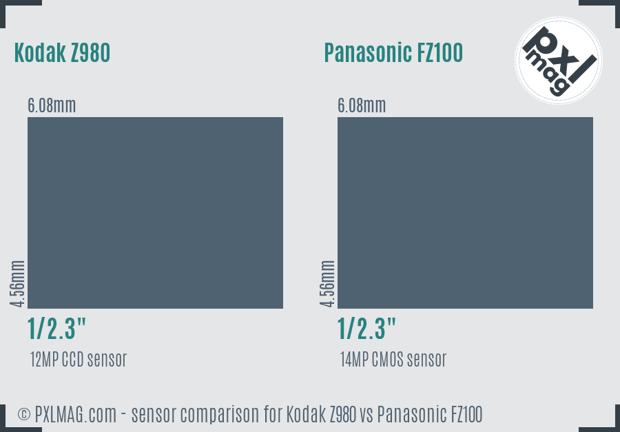 Kodak Z980 vs Panasonic FZ100 sensor size comparison